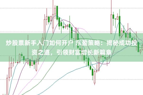 炒股票新手入门如何开户 东盈策略：揭秘成功投资之道，引领财富增长新篇章