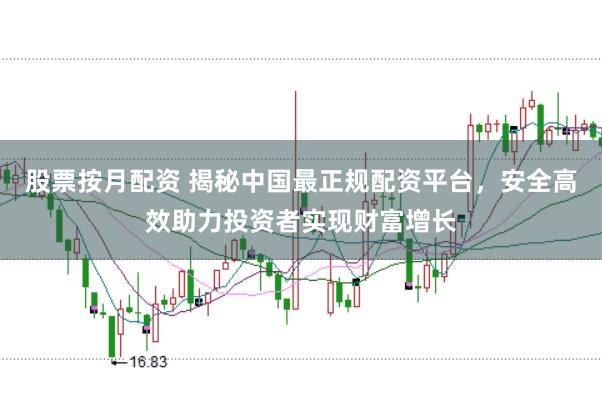 股票按月配资 揭秘中国最正规配资平台，安全高效助力投资者实现财富增长