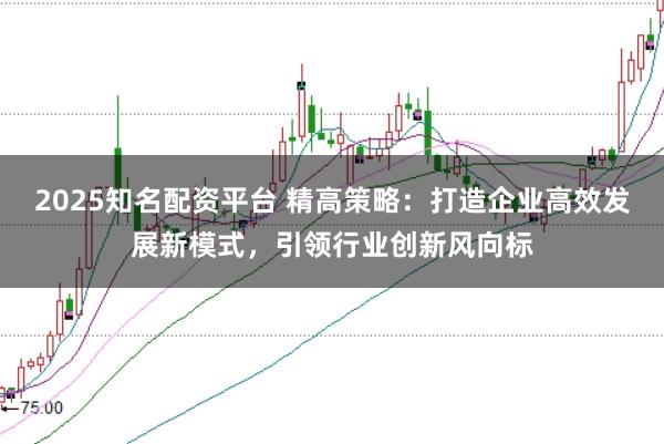 2025知名配资平台 精高策略：打造企业高效发展新模式，引领行业创新风向标