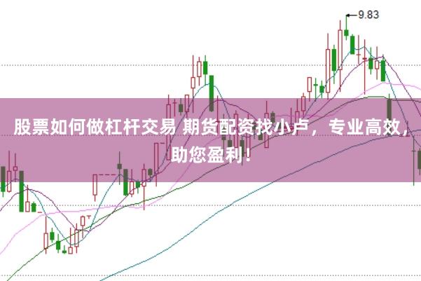 股票如何做杠杆交易 期货配资找小卢，专业高效，助您盈利！