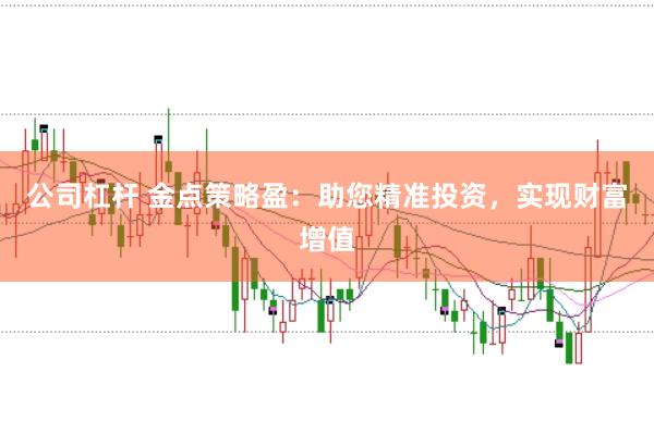 公司杠杆 金点策略盈：助您精准投资，实现财富增值