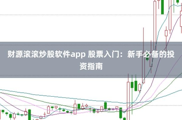 财源滚滚炒股软件app 股票入门：新手必备的投资指南