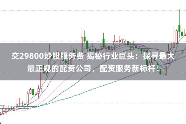 交29800炒股服务费 揭秘行业巨头：探寻最大最正规的配资公司，配资服务新标杆！