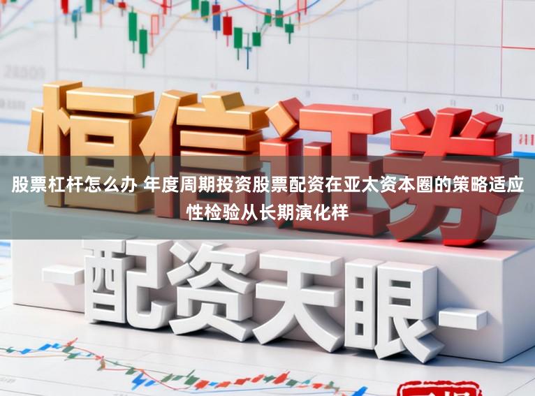 股票杠杆怎么办 年度周期投资股票配资在亚太资本圈的策略适应性检验从长期演化样
