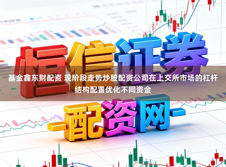 基金鑫东财配资 现阶段走势炒股配资公司在上交所市场的杠杆结构配置优化不同资金