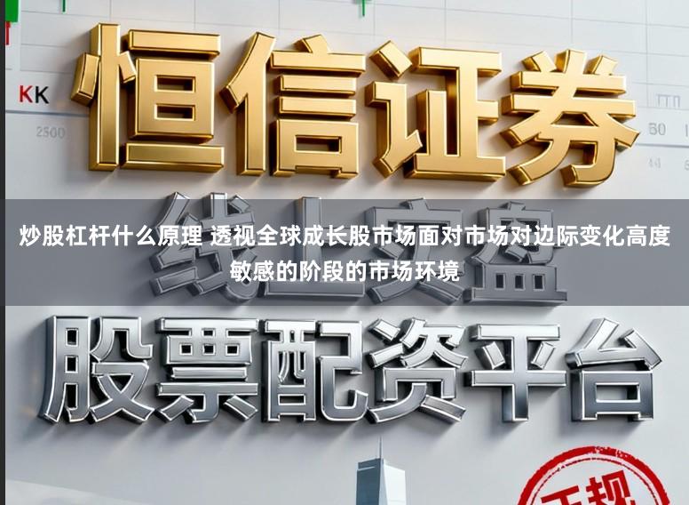 炒股杠杆什么原理 透视全球成长股市场面对市场对边际变化高度敏感的阶段的市场环境