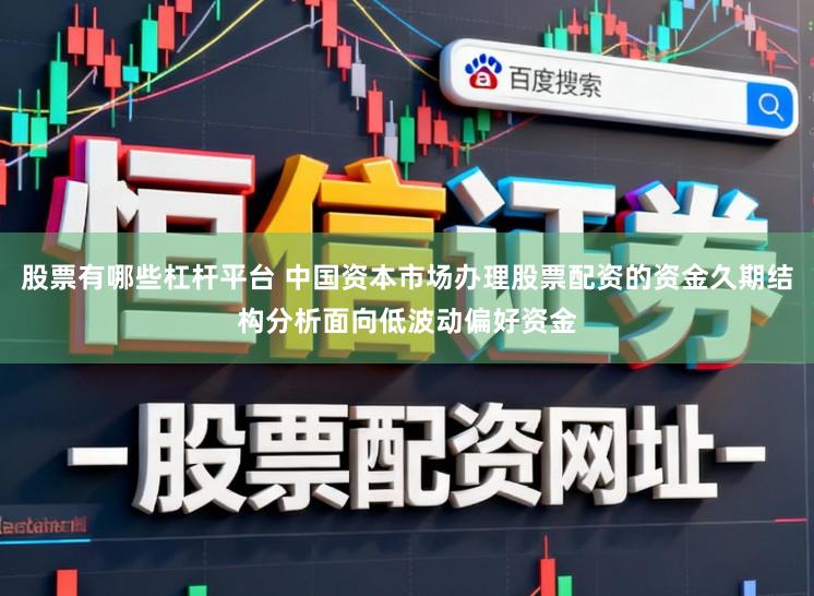 股票有哪些杠杆平台 中国资本市场办理股票配资的资金久期结构分析面向低波动偏好资金